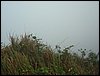 DSC00003.JPG