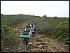 DSC00010.JPG