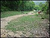 DSC00017.JPG