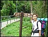 DSC00065.JPG