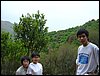 063.jpg