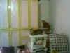 b087.jpg (45392 Ӧ줸)