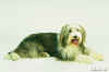 813831513470-img00051-pcd.jpg (23860 Ӧ줸)