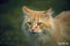 816440120420-img00061-pcd.jpg (22275 Ӧ줸)