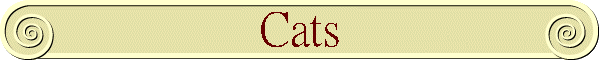 Cats