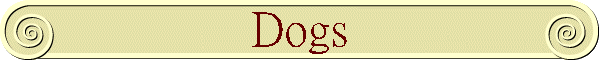 Dogs