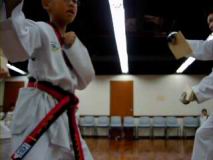 6-Side_Kick_and_Punch--Li-Chun-Yin.mpg
