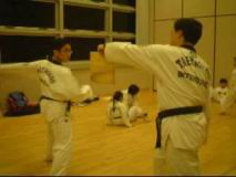 7_Knifehand_Inner--Wong_Lok_Tin.mpg