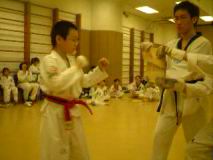 1-Punch--Lui_Lok_Sum.mpg