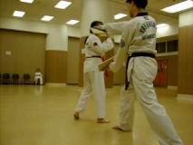 4-Back_Kick--Chung_Yan_Kei.mpg