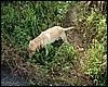 DSCF1448.JPG