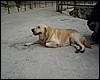 DSCF1450.JPG