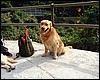 DSCF1451.JPG