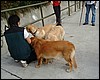 DSCF1453.JPG