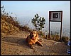DSCF1462.JPG