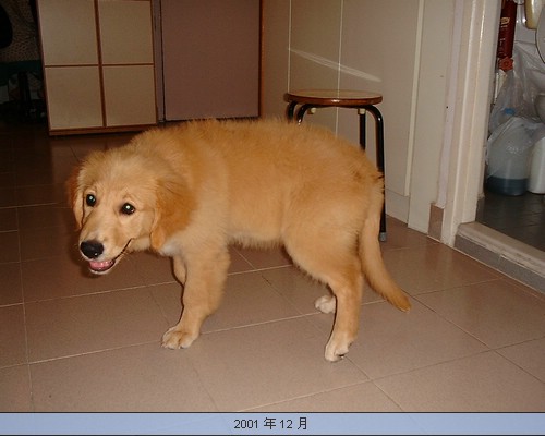 DSCF0878.JPG
