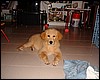DSCF0870.JPG