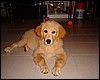 DSCF0871.JPG