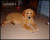 DSCF0872.JPG