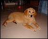 DSCF0873.JPG