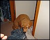 DSCF0876.JPG