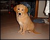 DSCF0877.JPG