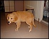 DSCF0878.JPG