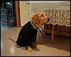 DSCF0934.JPG
