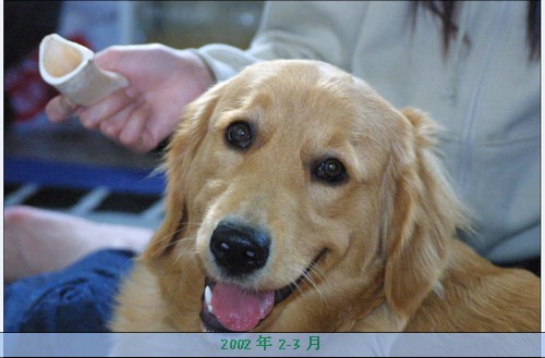 2544.JPG