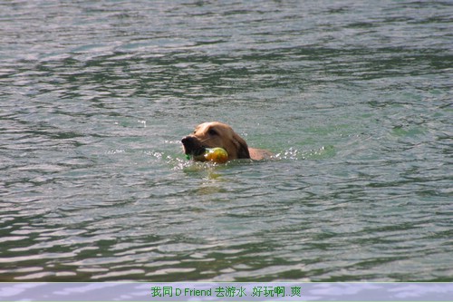 IMG_3038.JPG