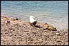 IMG_3001.JPG