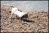 IMG_3002.JPG