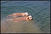 IMG_3003.JPG