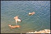 IMG_3004.JPG