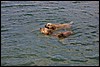 IMG_3006.JPG