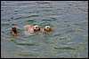 IMG_3007.JPG