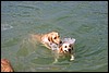 IMG_3008.JPG