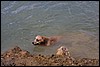 IMG_3010.JPG