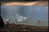 IMG_3013.JPG