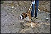 IMG_3014.JPG