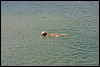 IMG_3016.JPG