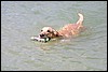 IMG_3029.JPG