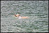 IMG_3037.JPG