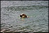 IMG_3038.JPG