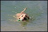 IMG_3041.JPG