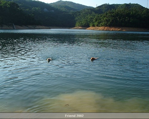 DSCF1163.JPG