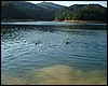 DSCF1163.JPG