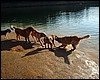 DSCF1167.JPG
