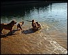 DSCF1168.JPG
