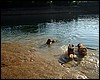 DSCF1169.JPG
